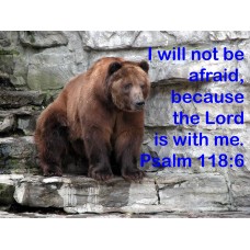 Psalm 118/Bear Photo Card or Magnet